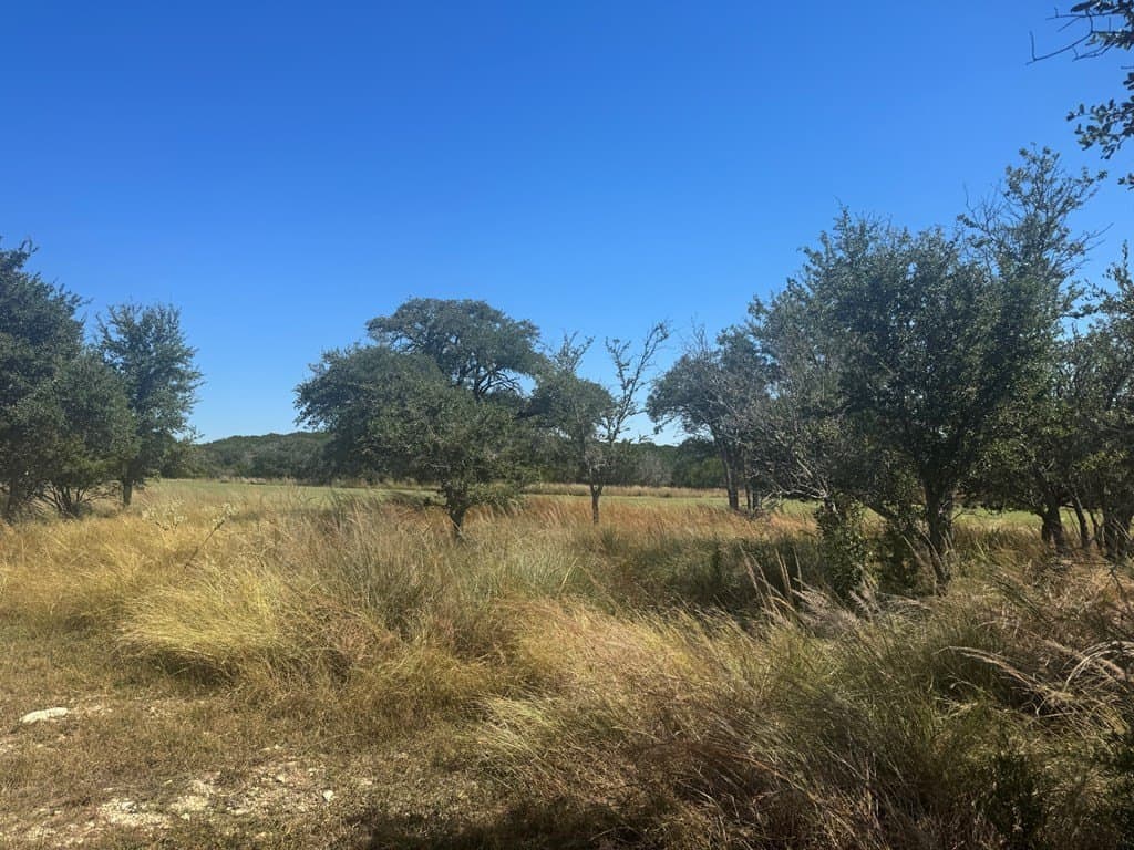 0.24 acres in Kerr County gallery image 3