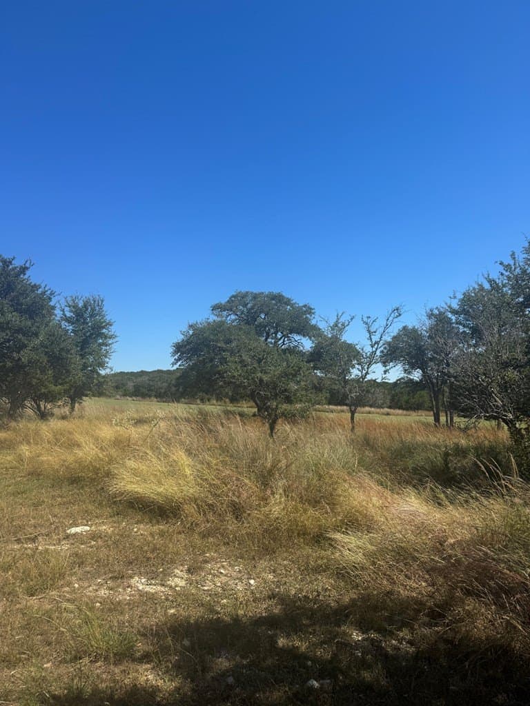 0.24 acres in Kerr County gallery image 4