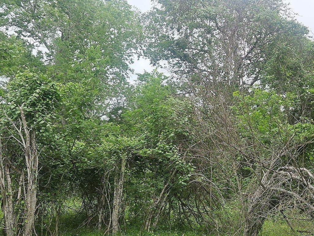 4.5 acres in Washington County - photo 7
