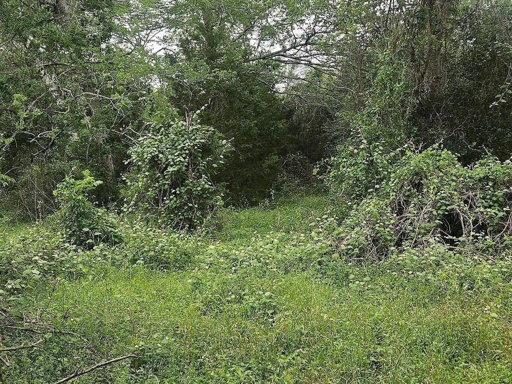 4.5 acres in Washington County - photo 6