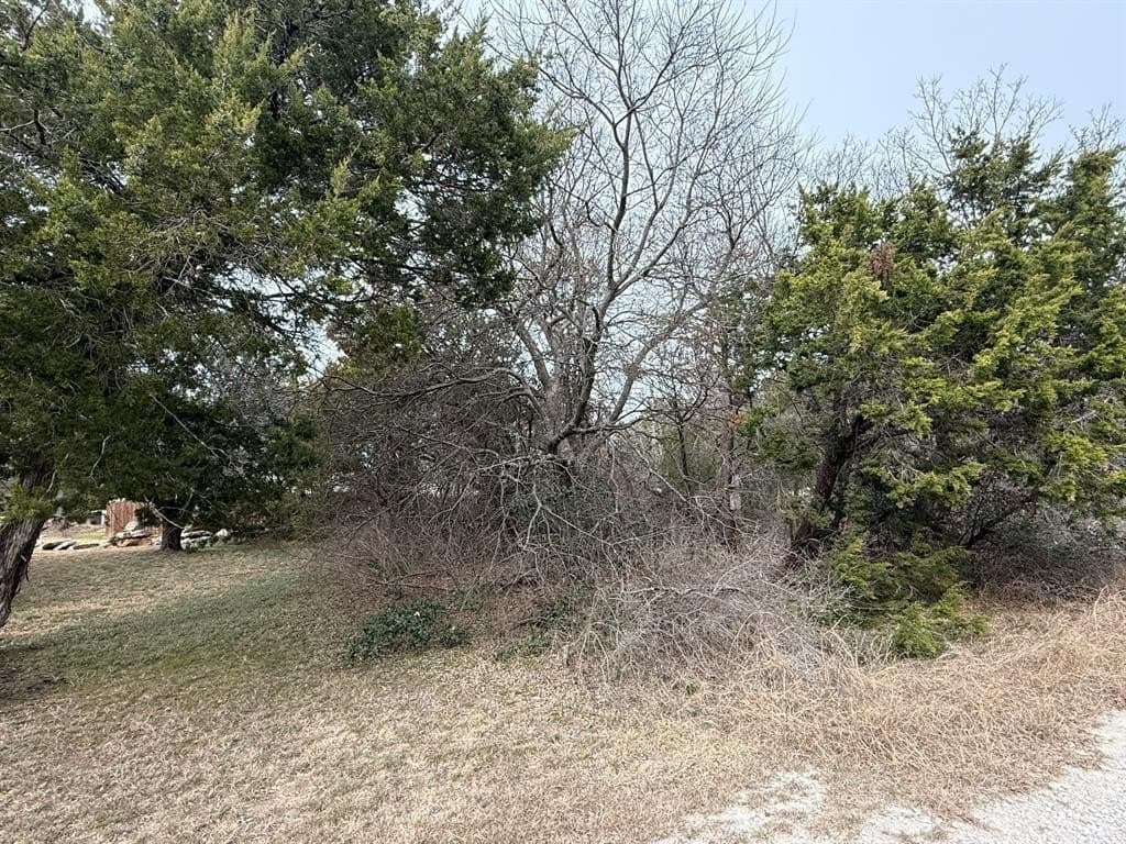 0.03 acres in Hood County gallery image 2