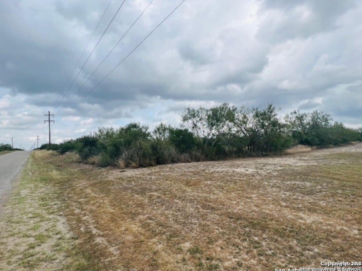 5 acres in Live Oak County gallery image 4