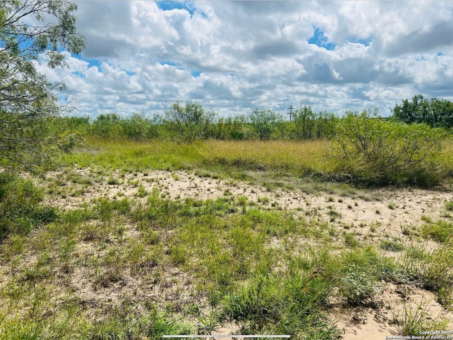 5 acres in Live Oak County gallery image 2