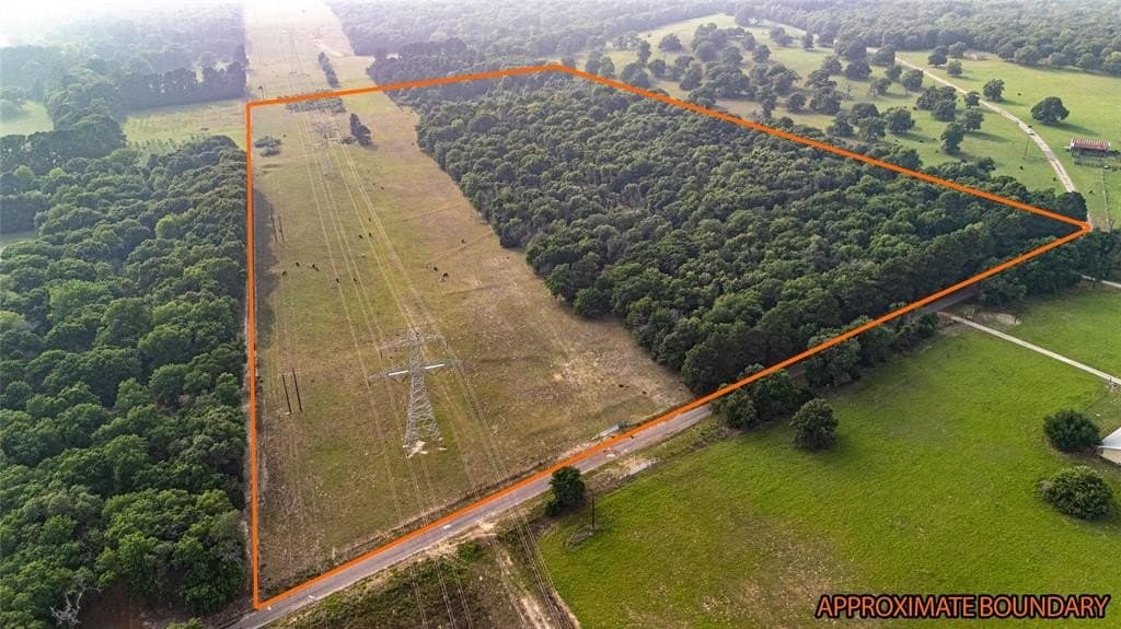 40 acres in Henderson County gallery image 2