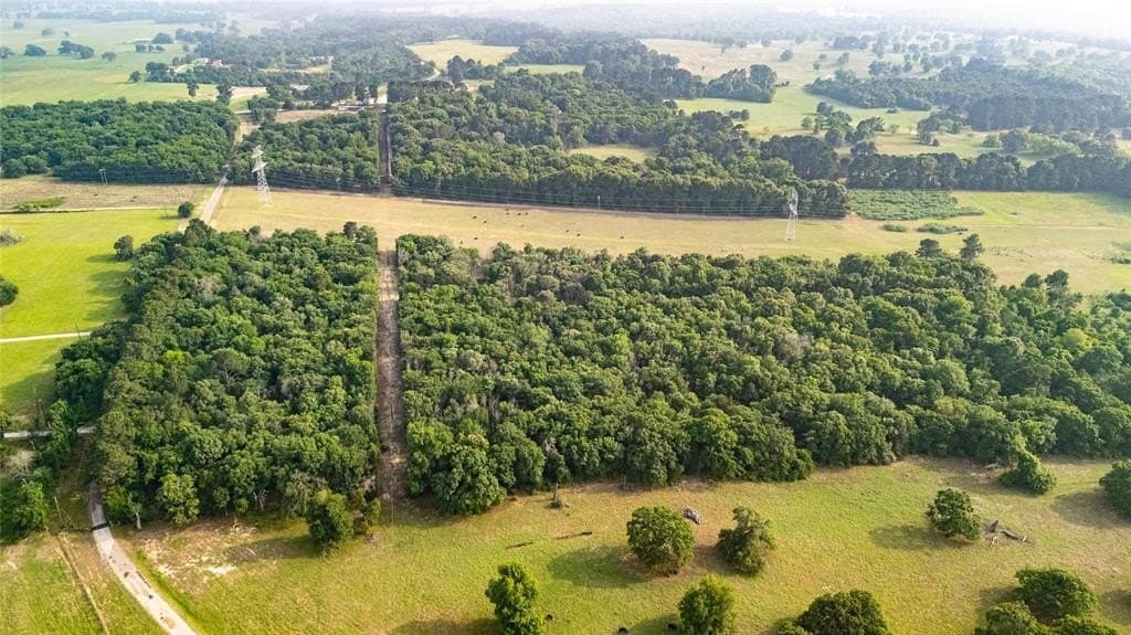 40 acres in Henderson County gallery image 3