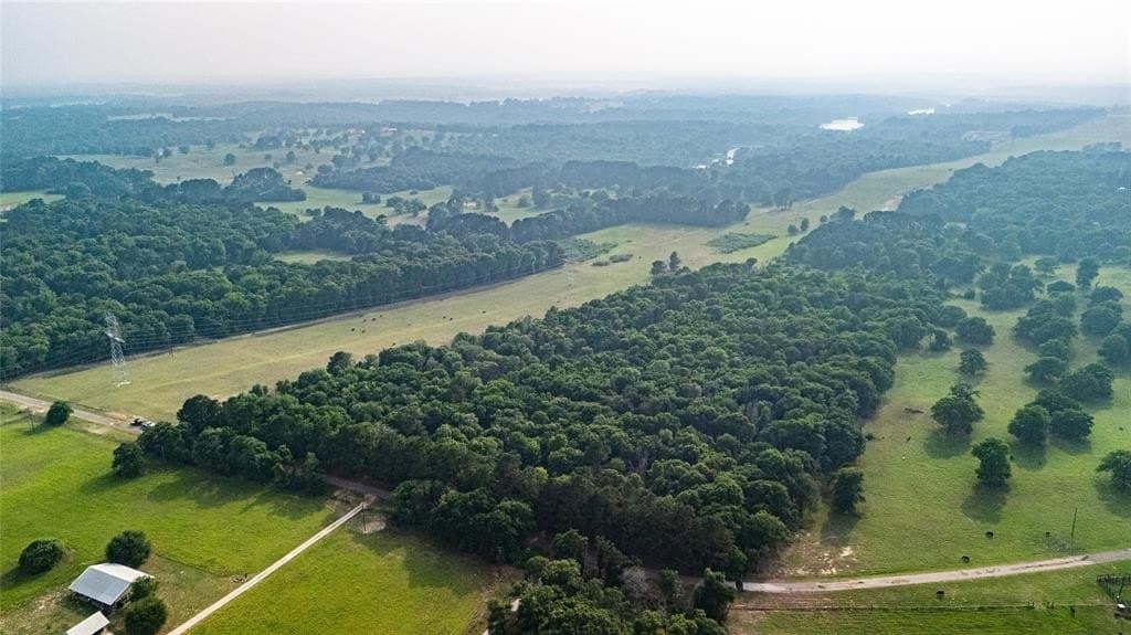 40 acres in Henderson County gallery image 4