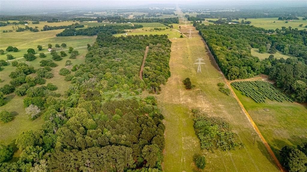 40 acres in Henderson County featured view