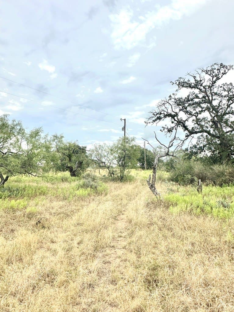 10 acres in Mason County - photo 6