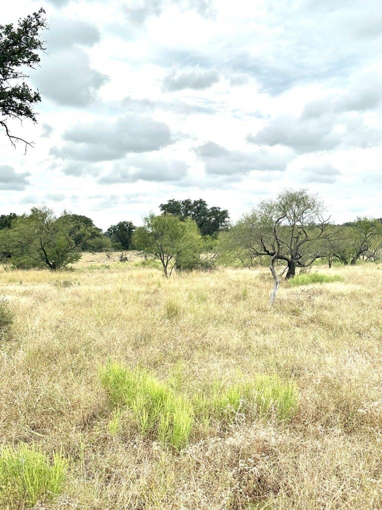 10 acres in Mason County featured view