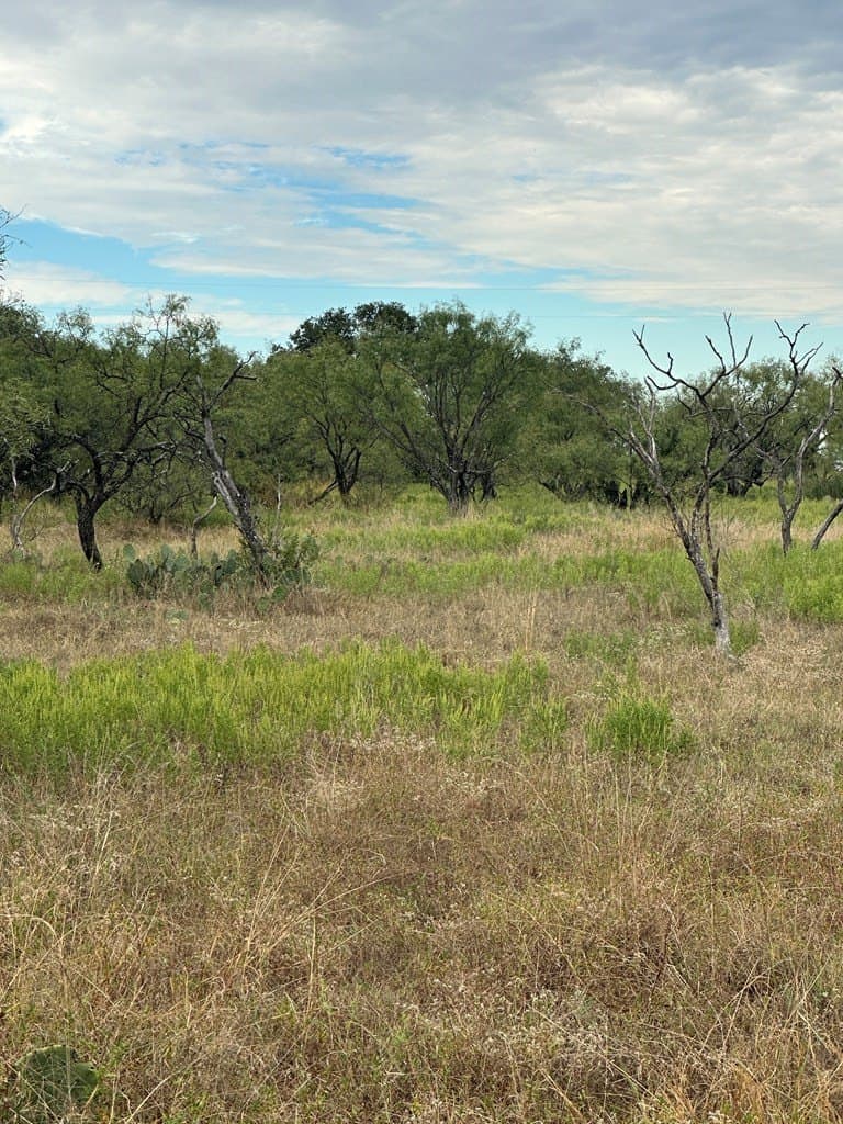 10 acres in Mason County - photo 10