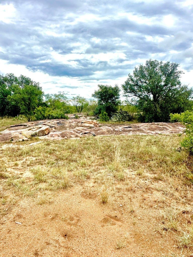 10 acres in Mason County - photo 9