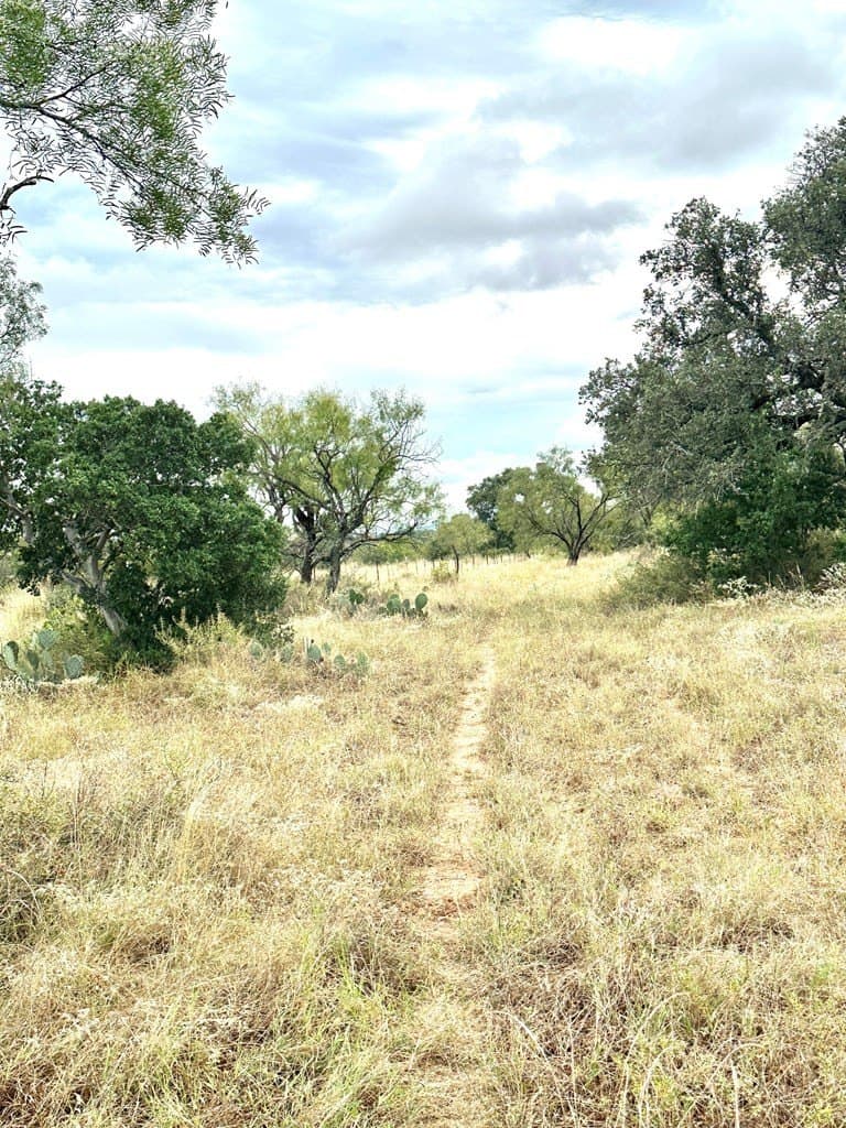10 acres in Mason County gallery image 4