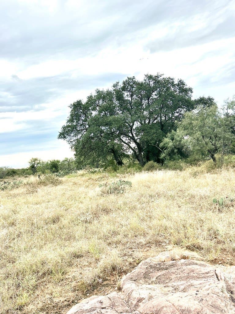 10 acres in Mason County gallery image 2