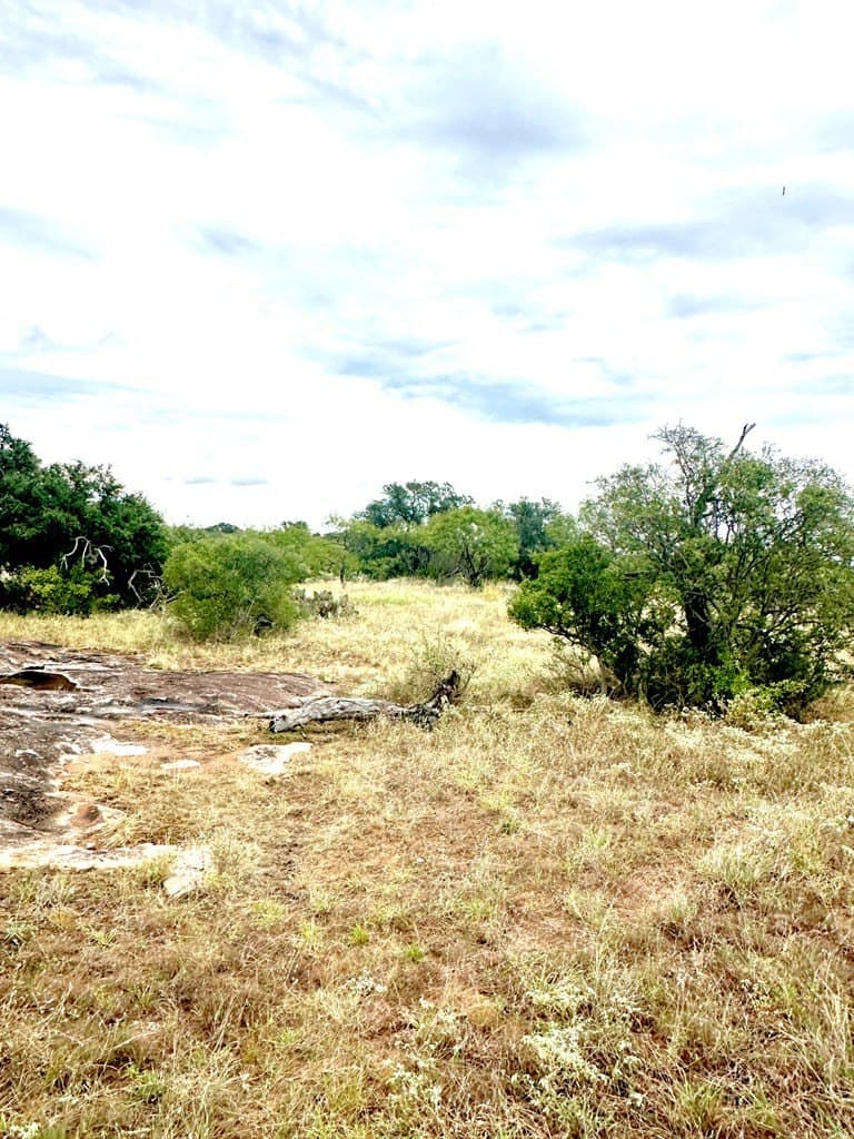 10 acres in Mason County - photo 8