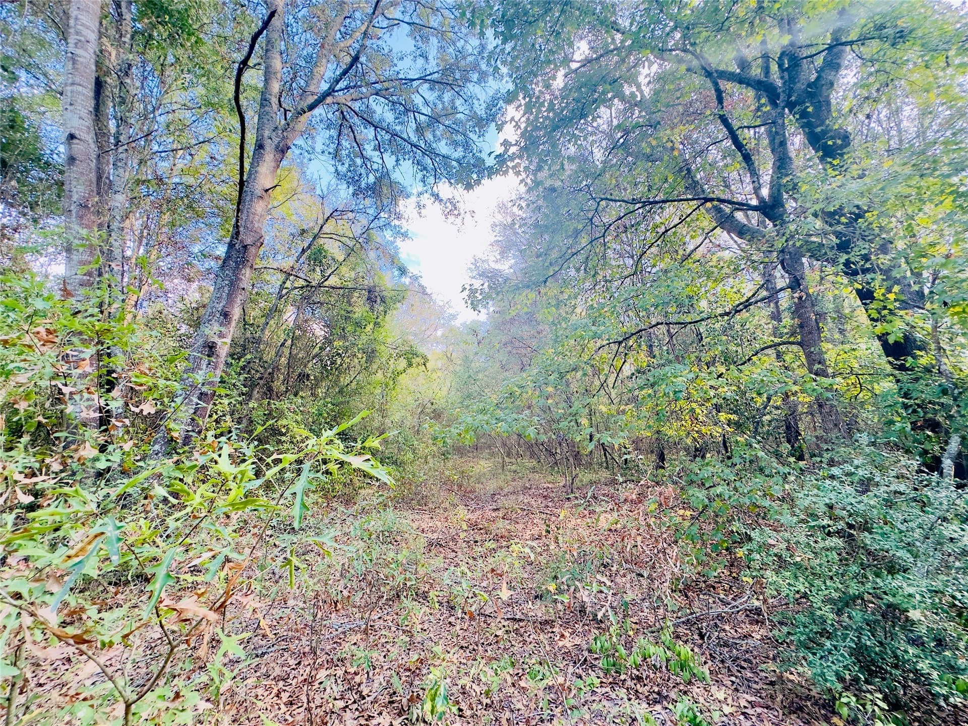 1 acres in Upshur County - photo 19