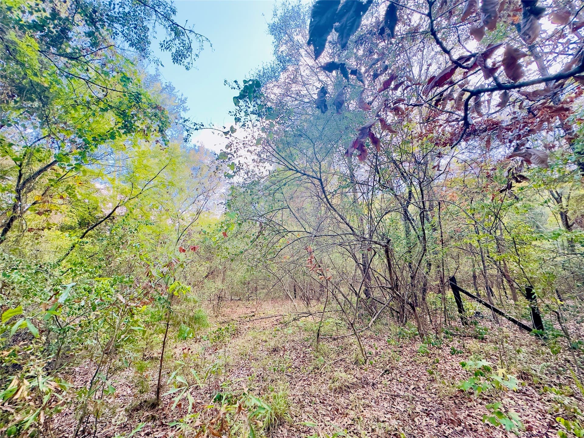 1 acres in Upshur County - photo 18