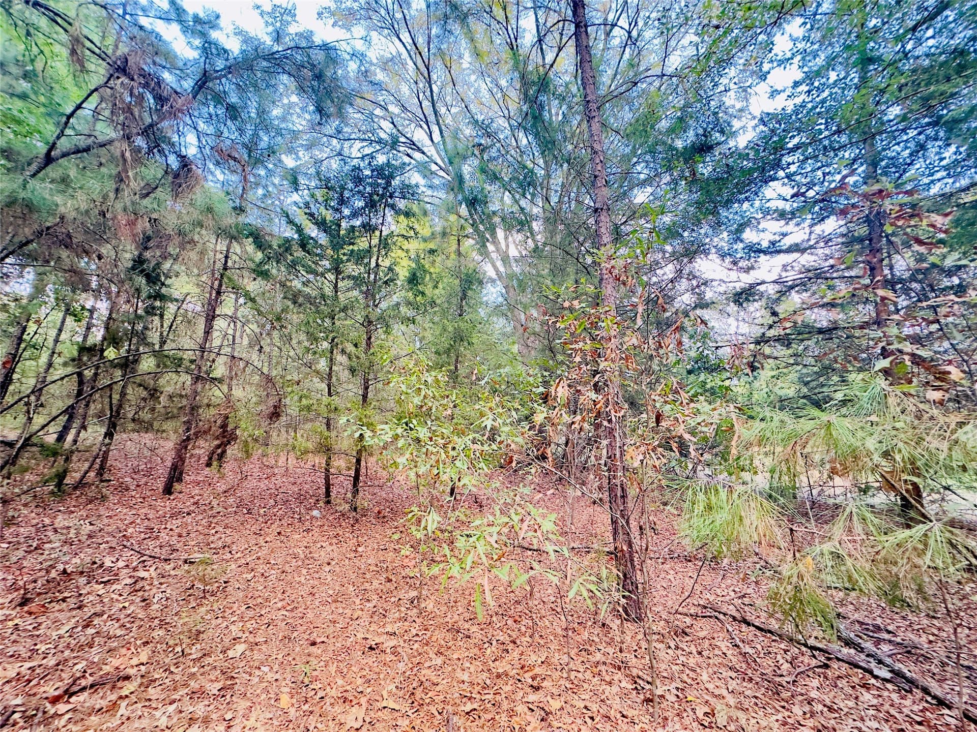 1 acres in Upshur County - photo 14
