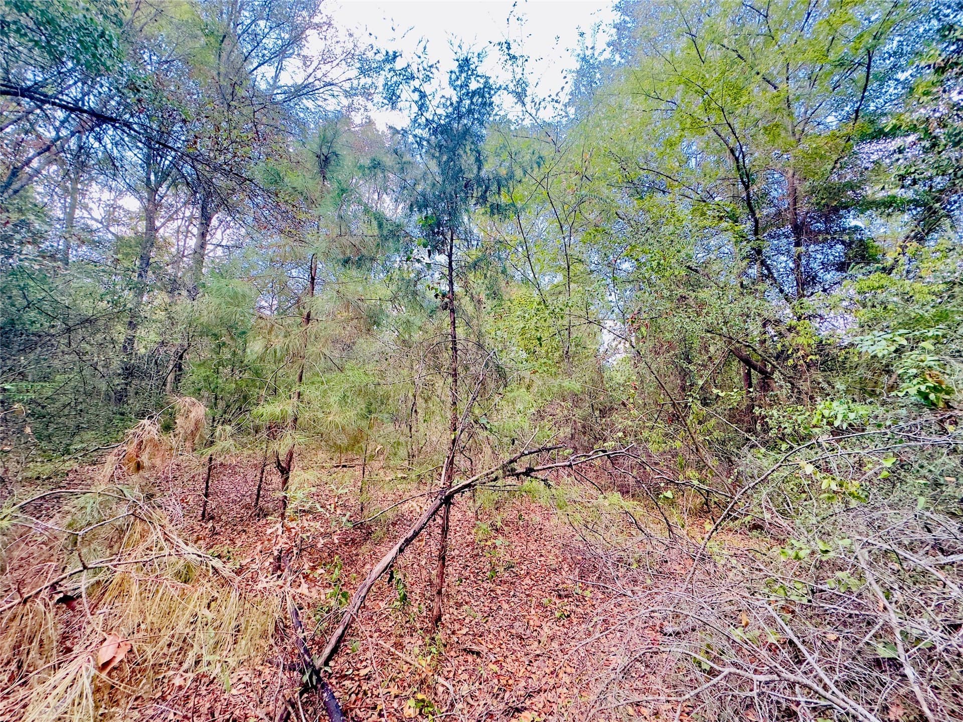 1 acres in Upshur County - photo 4