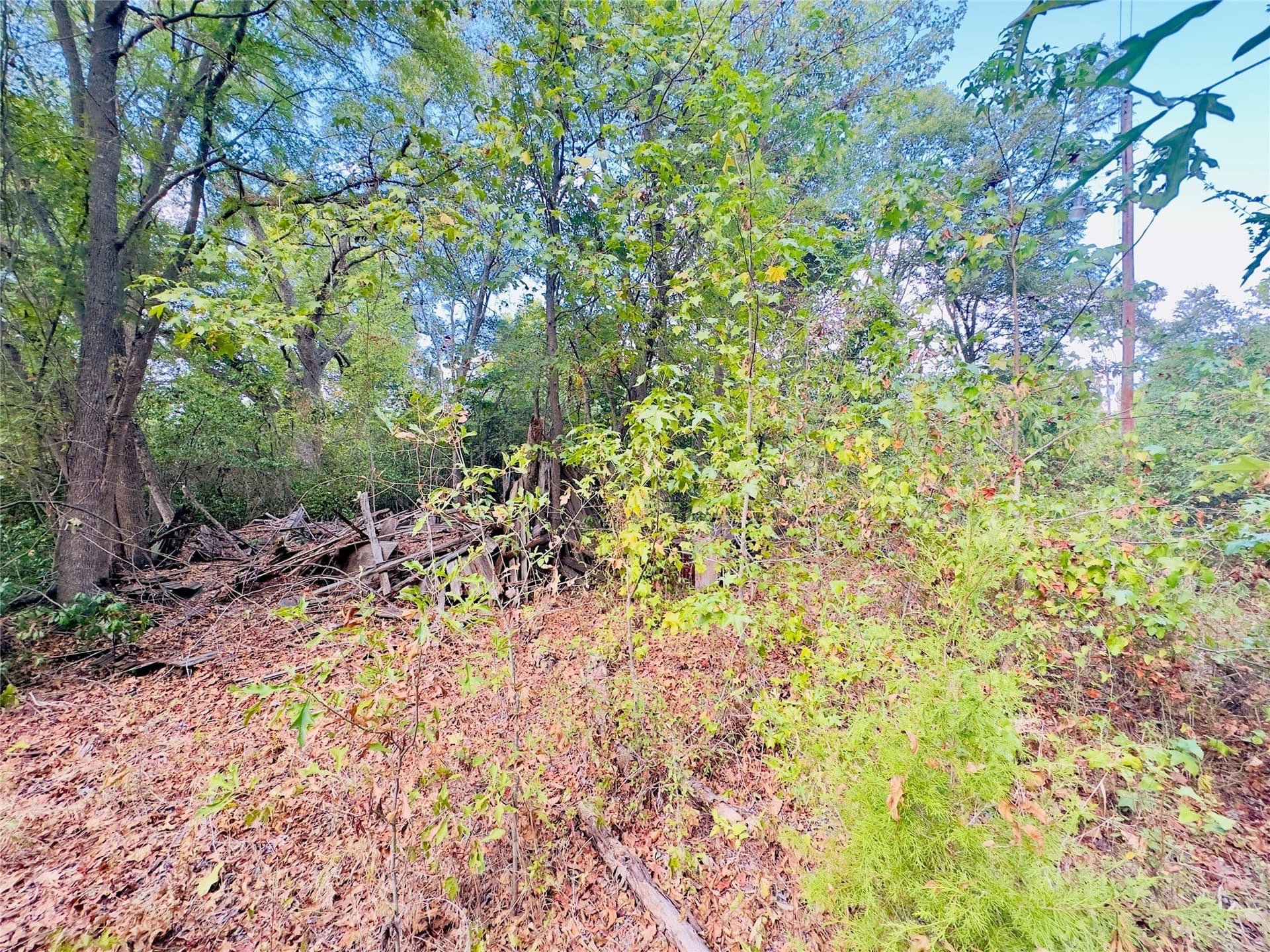 1 acres in Upshur County - photo 2