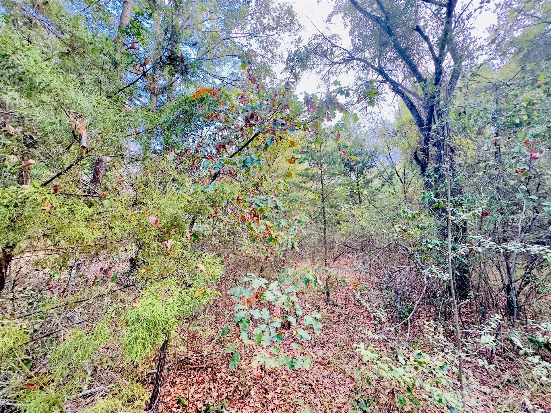1 acres in Upshur County - photo 6