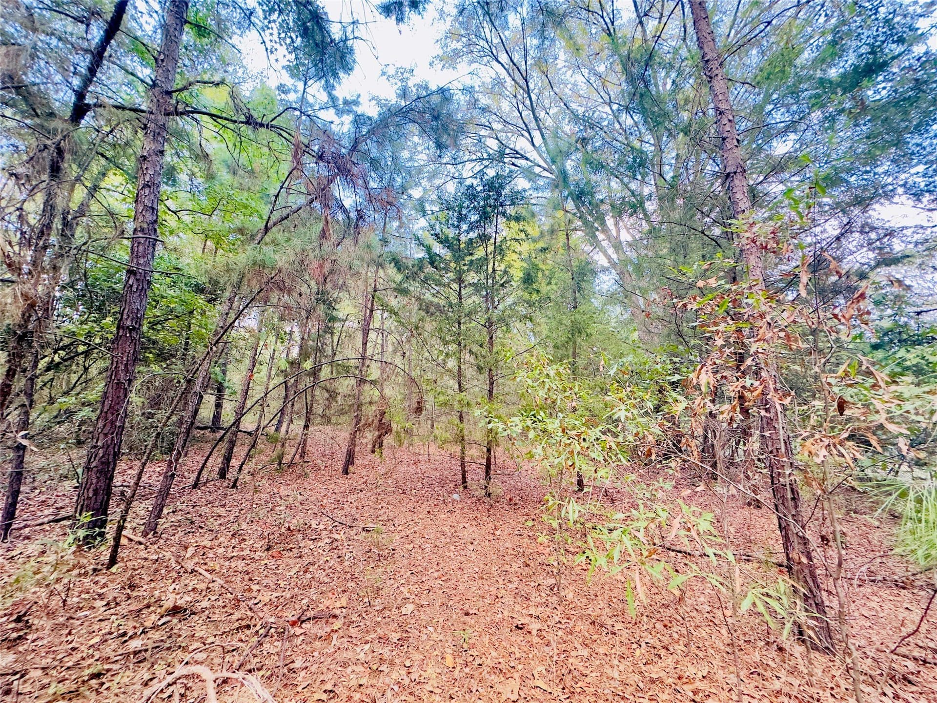 1 acres in Upshur County - photo 15