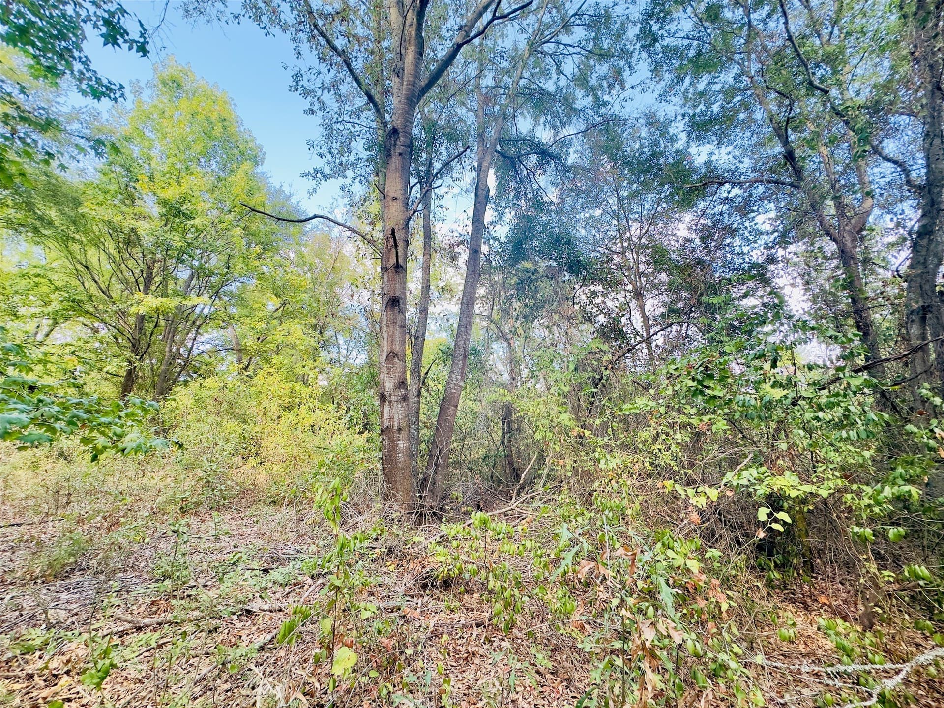 1 acres in Upshur County - photo 16