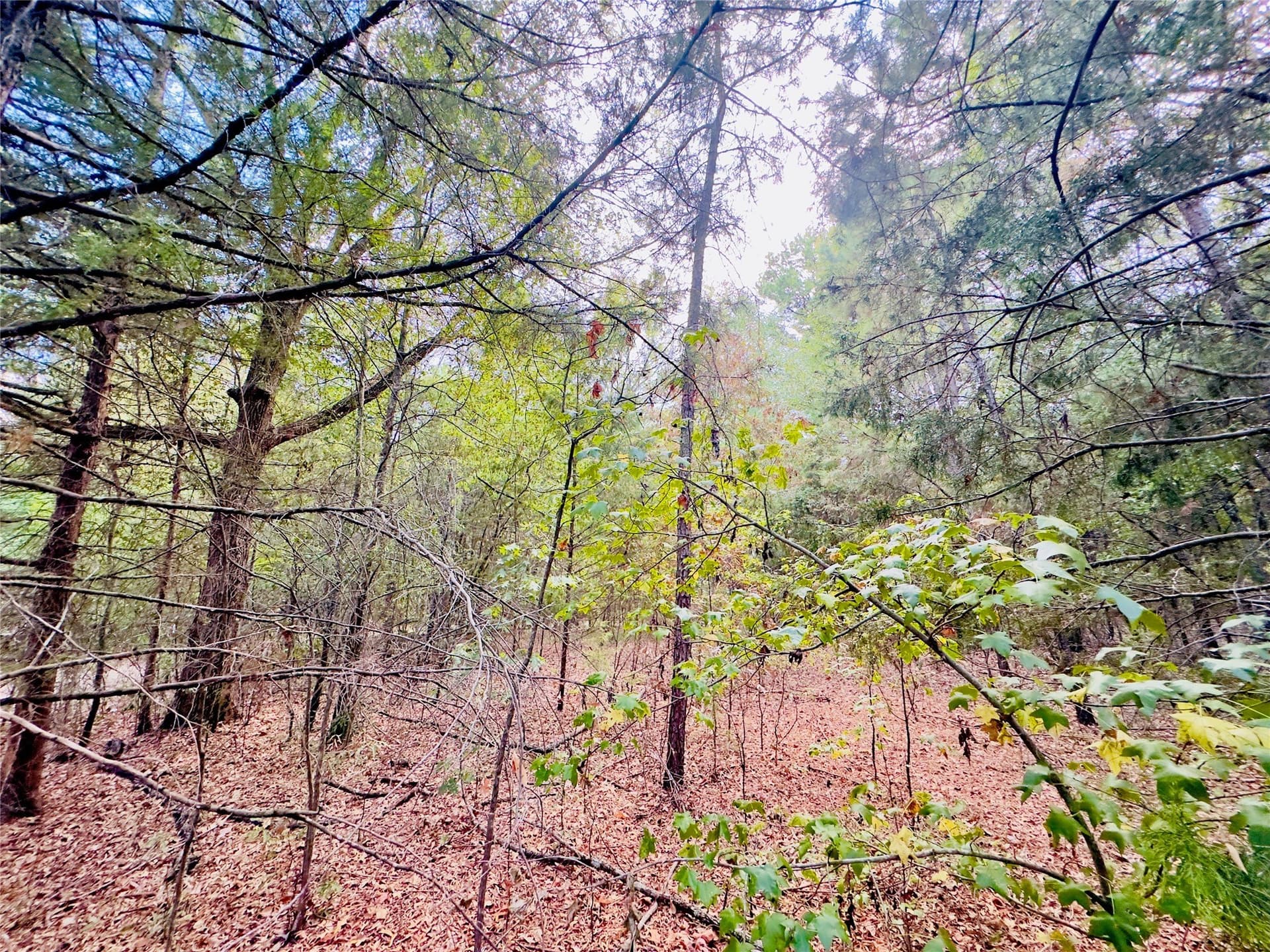 1 acres in Upshur County - photo 11
