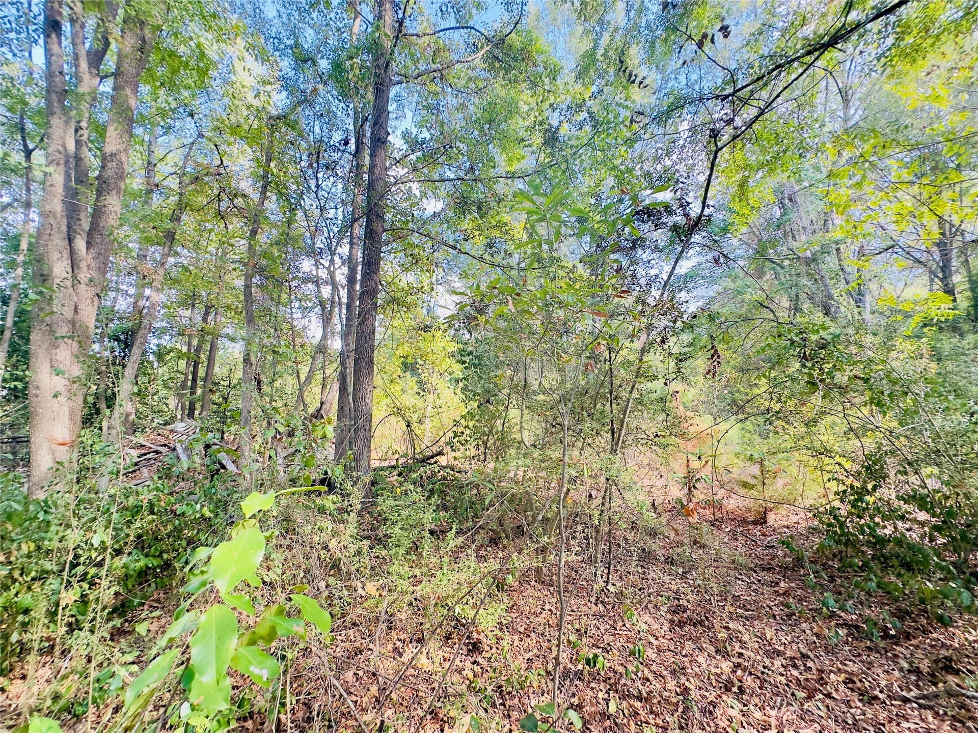 1 acres in Upshur County - photo 24