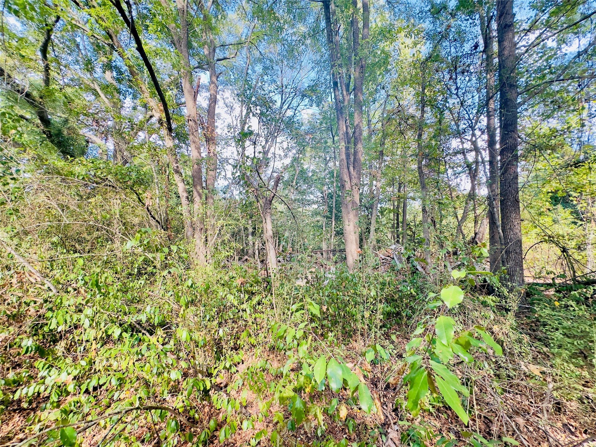 1 acres in Upshur County - photo 23