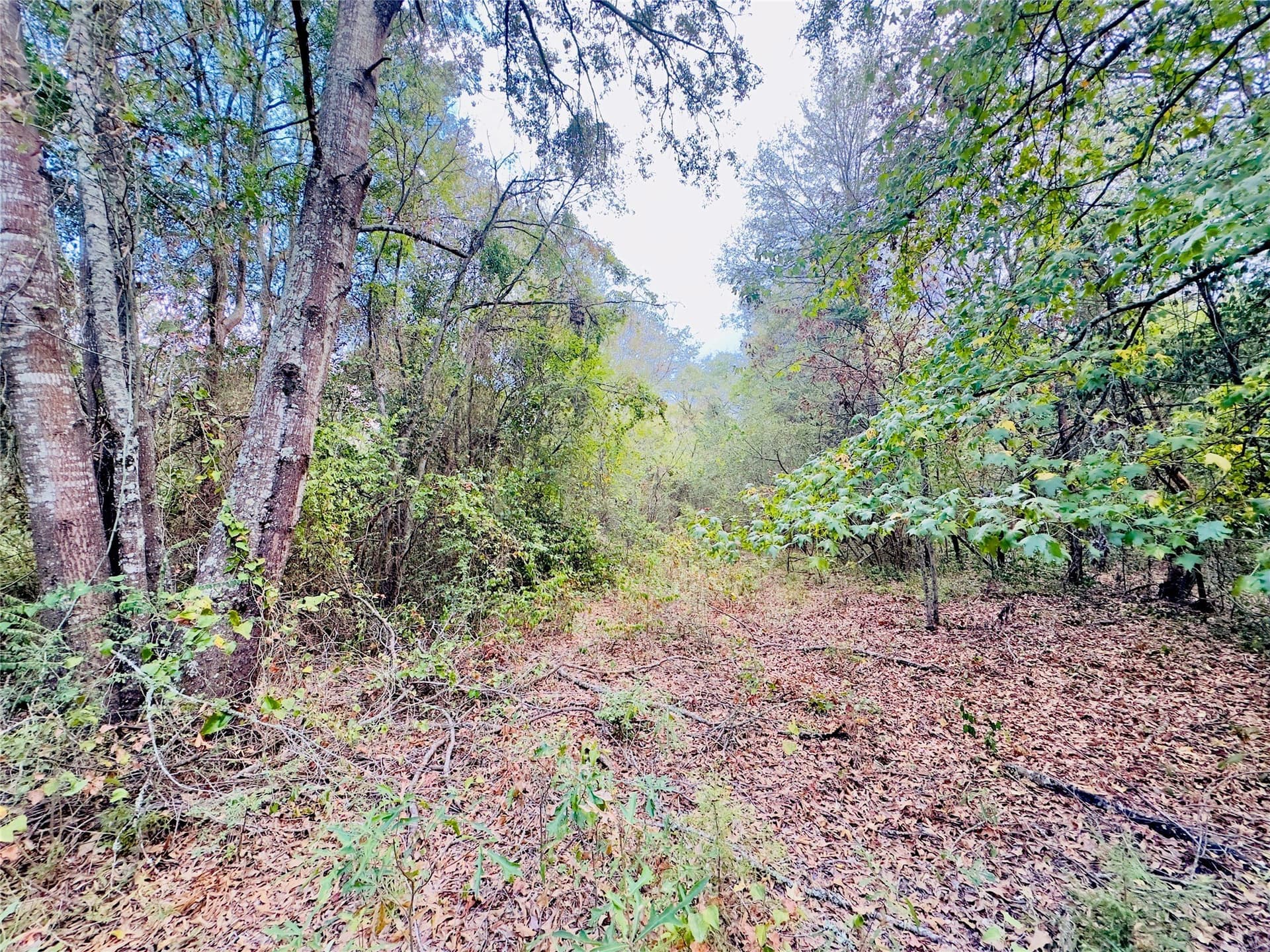 1 acres in Upshur County - photo 3