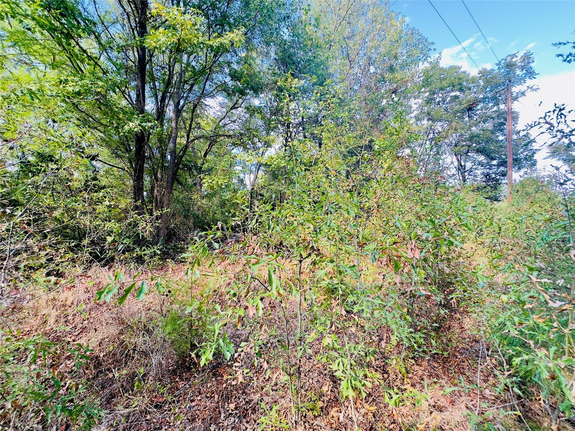 1 acres in Upshur County - photo 22