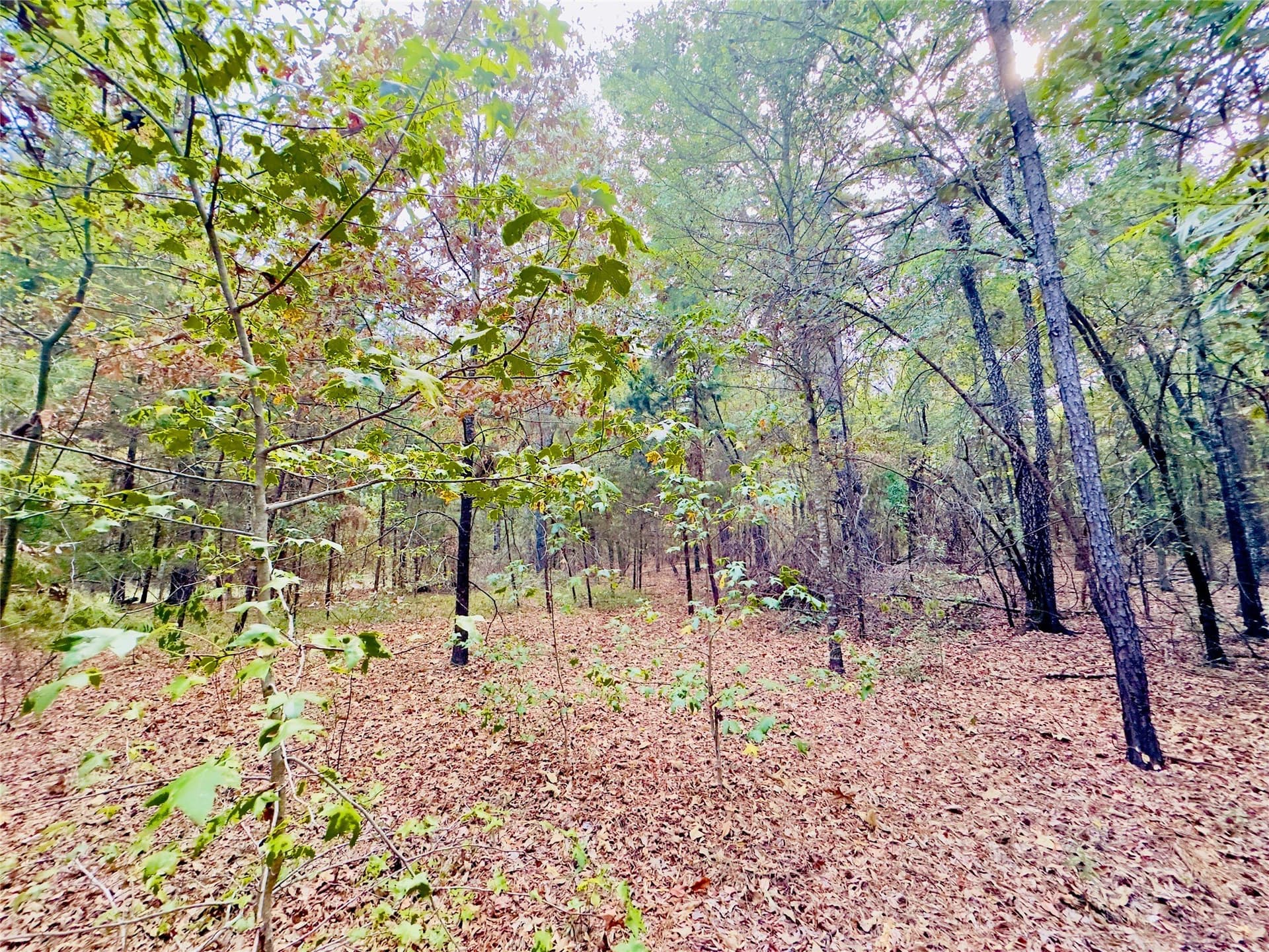 1 acres in Upshur County - photo 12