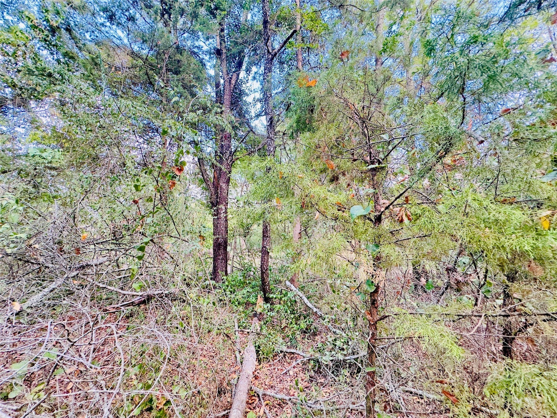 1 acres in Upshur County - photo 5
