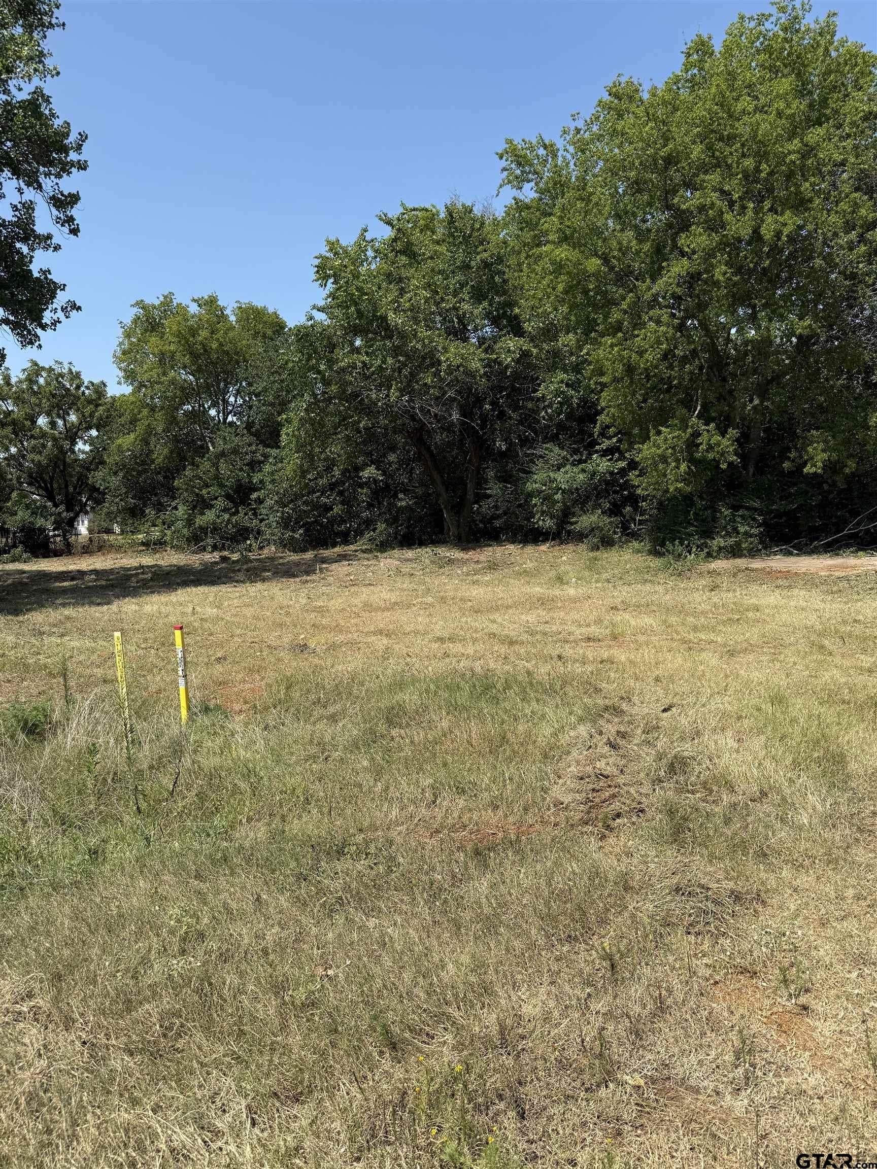 0.72 acres in Smith County featured view