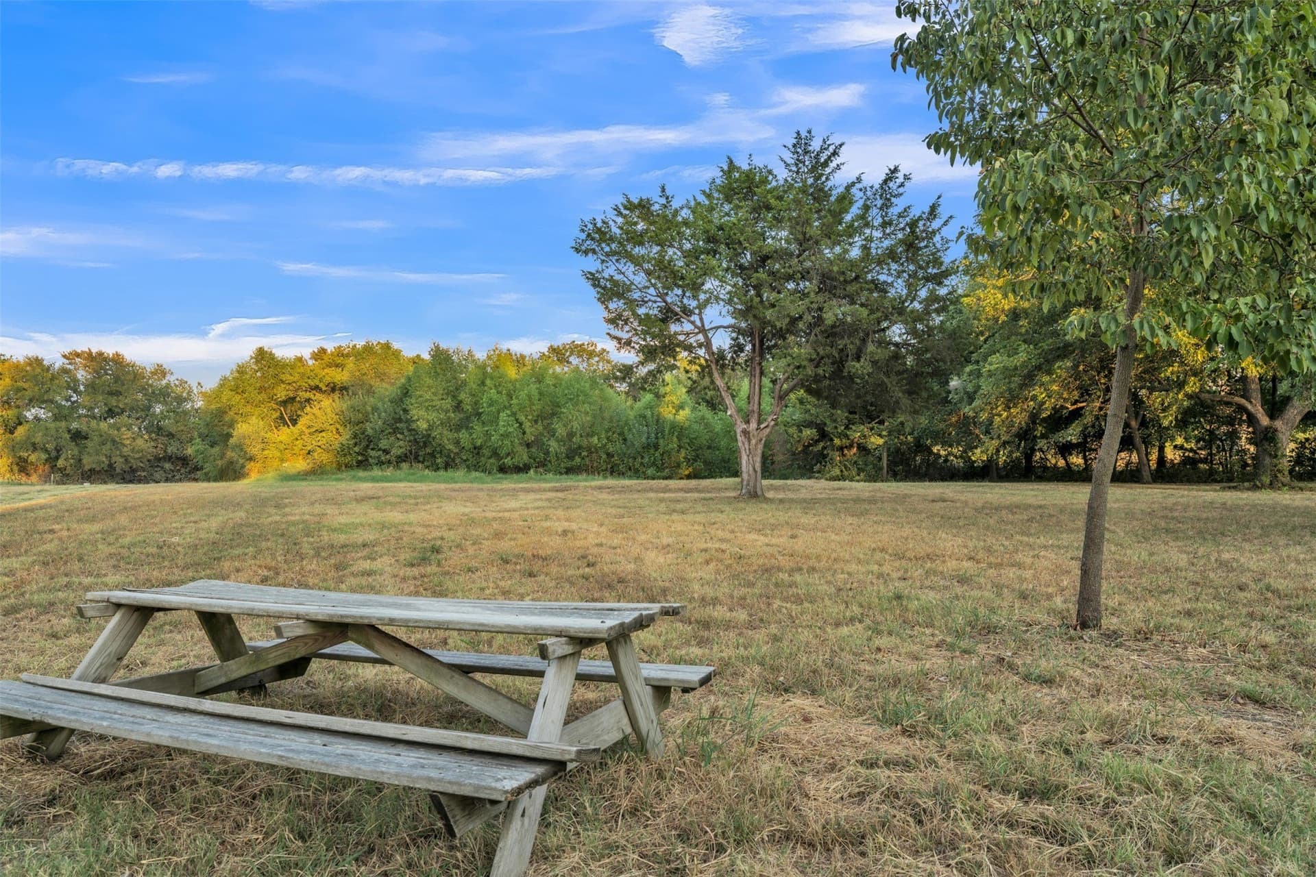 7.46 acres in Fannin County - photo 3