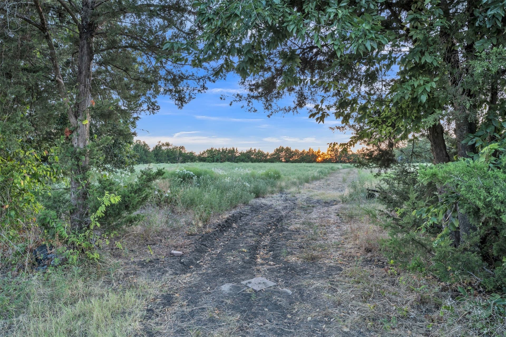 7.46 acres in Fannin County - photo 25