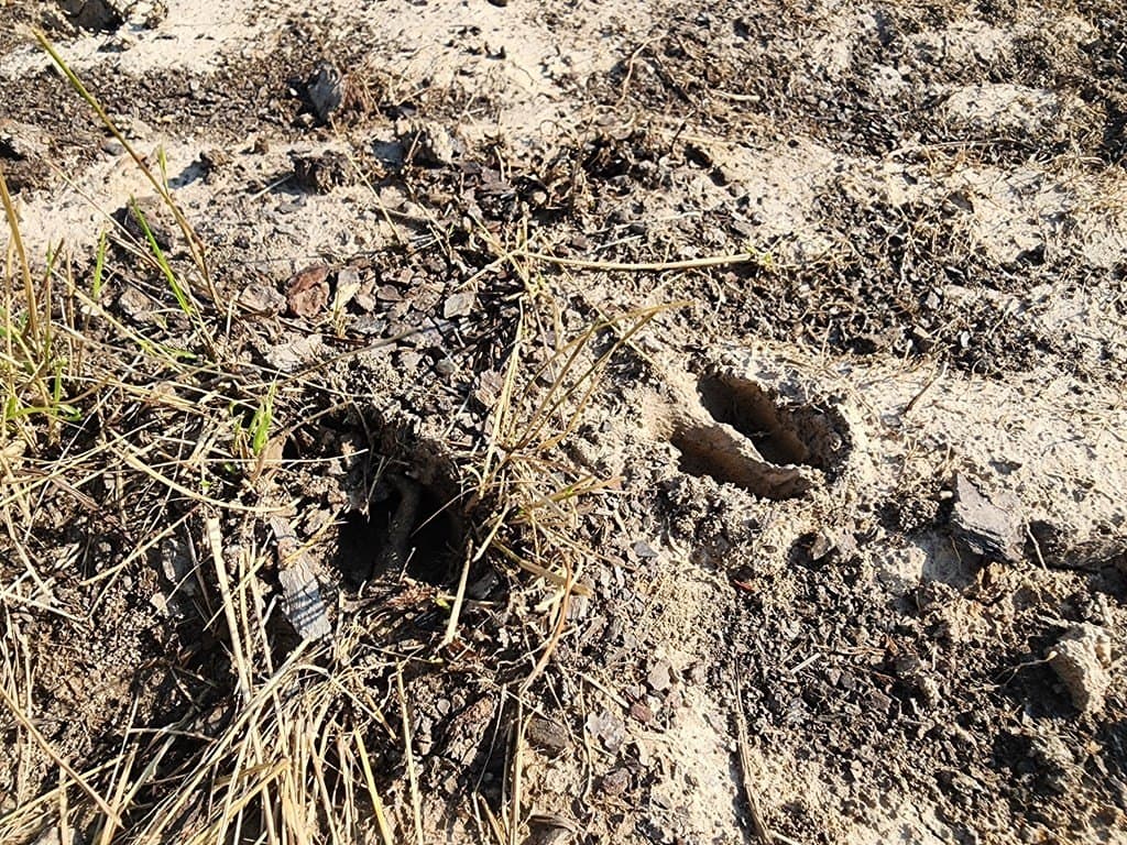 30.23 acres in Texas County - photo 4