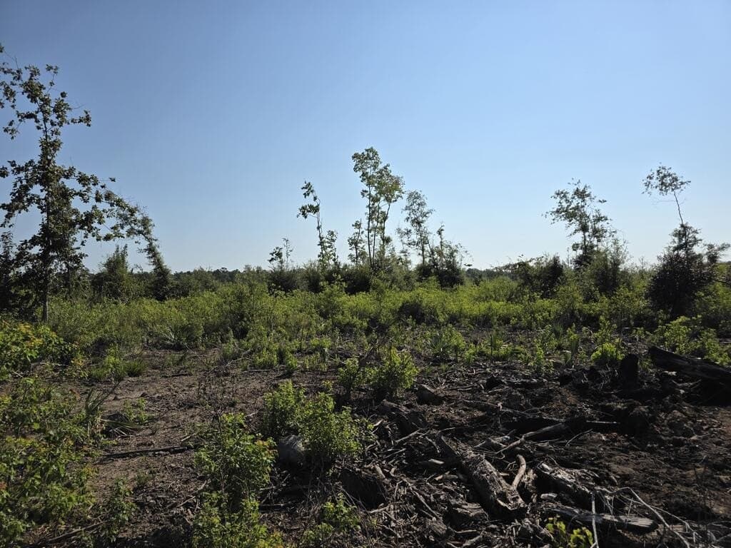 30.23 acres in Texas County - photo 11