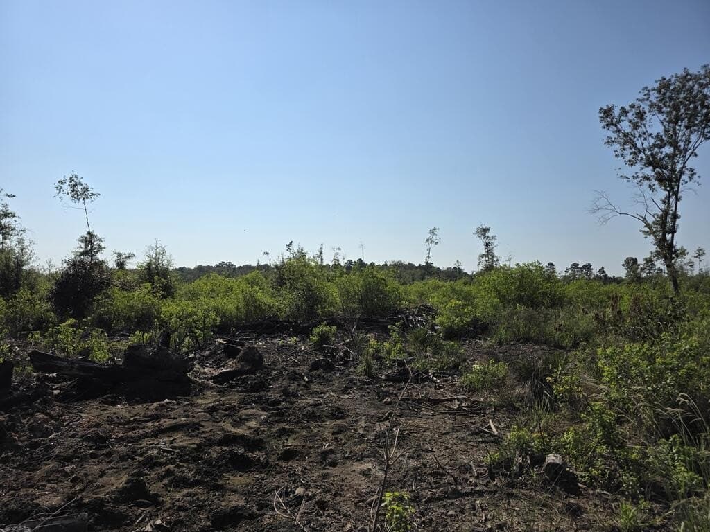 30.23 acres in Texas County - photo 9