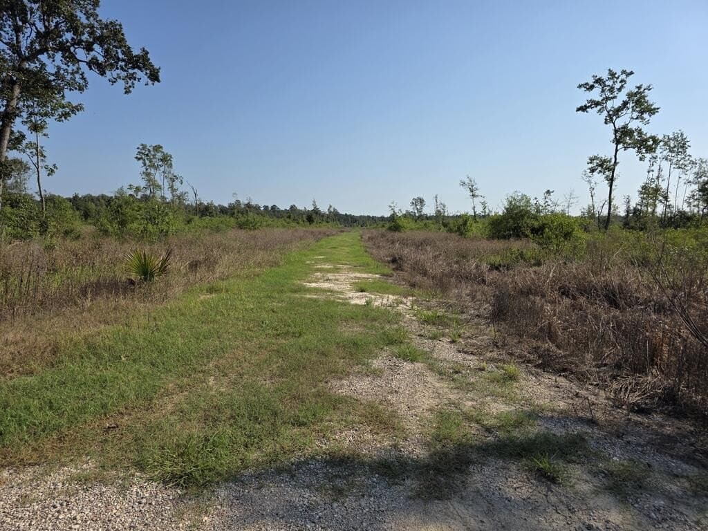 30.23 acres in Texas County - photo 13