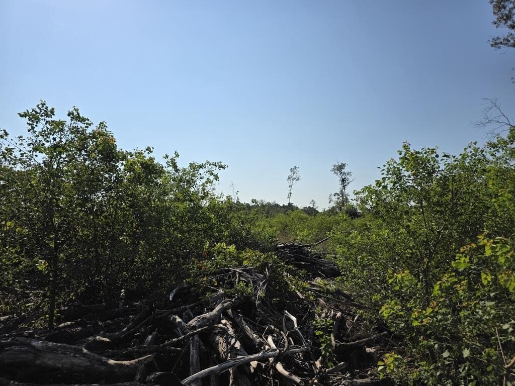 30.23 acres in Texas County - photo 10
