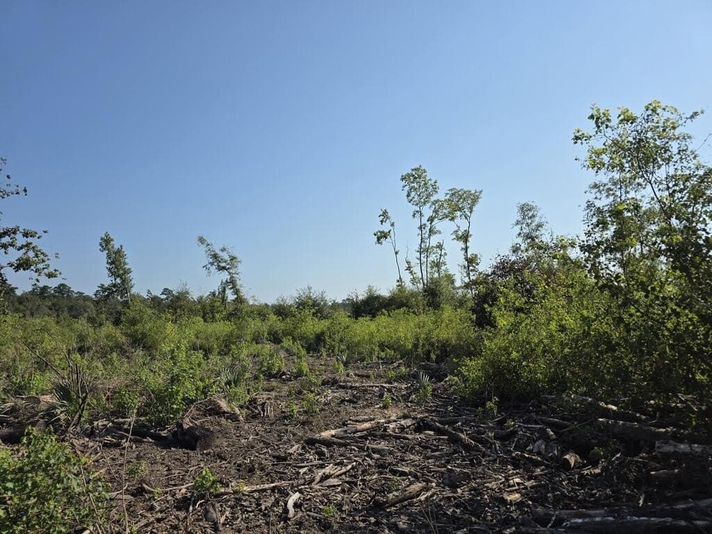 30.23 acres in Texas County - photo 5