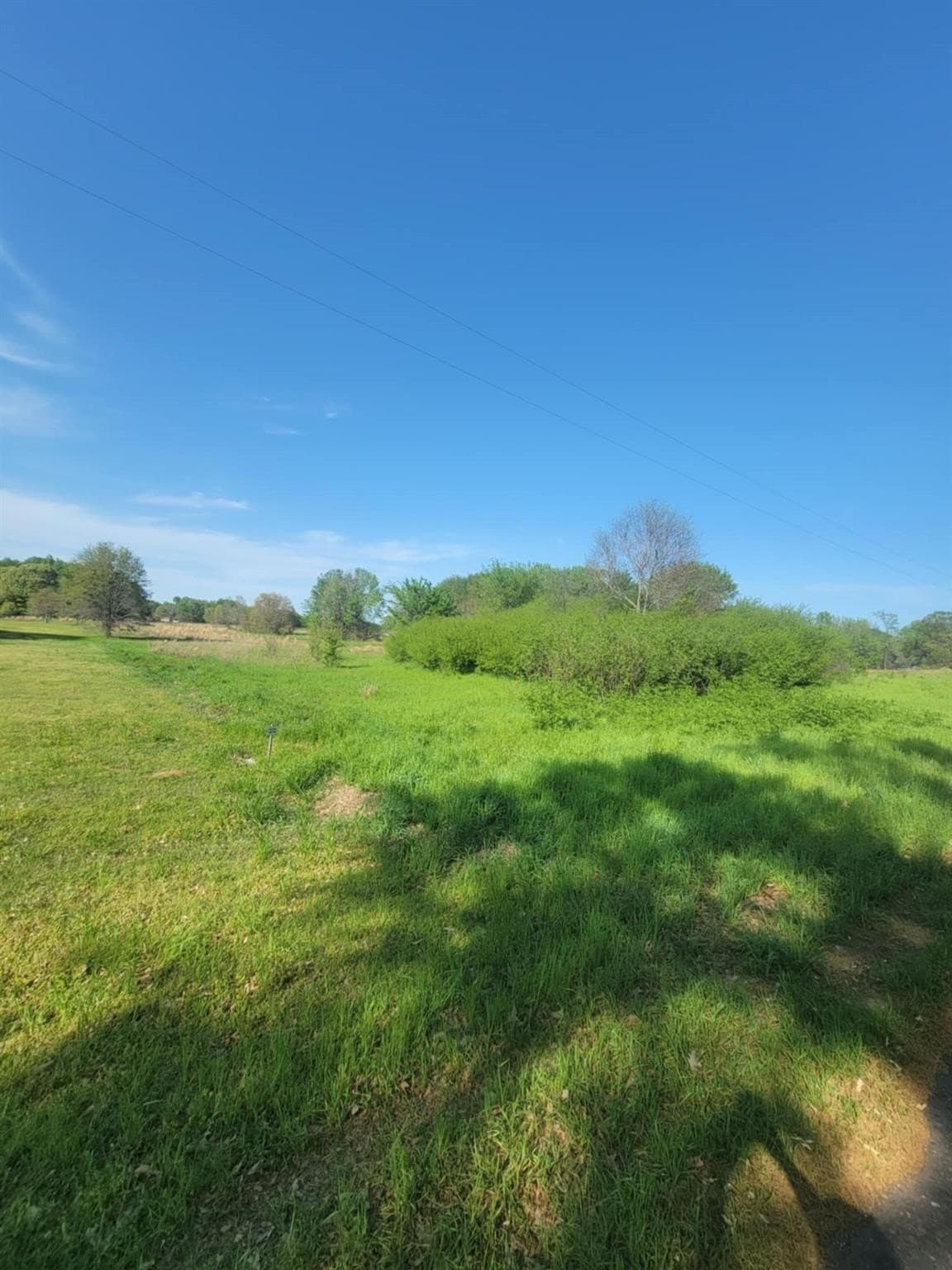 2.23 acres in Wood County gallery image 3