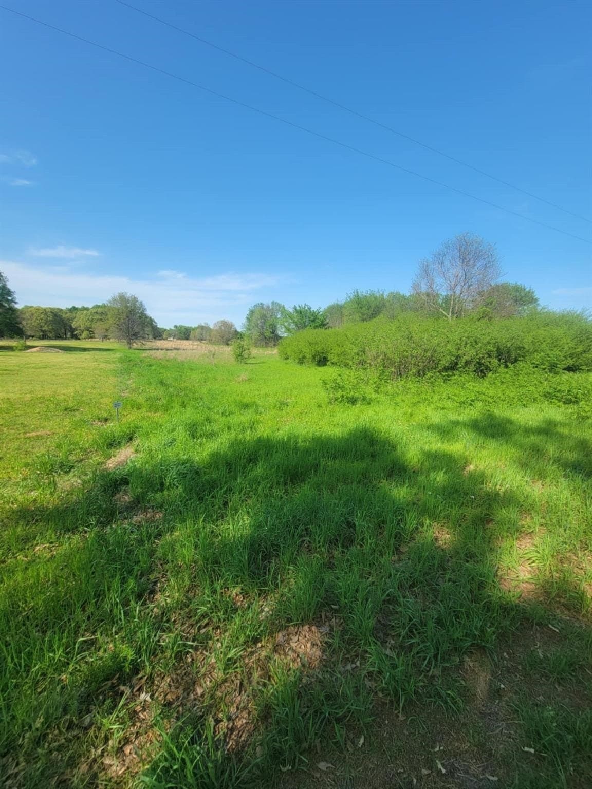 2.23 acres in Wood County gallery image 2