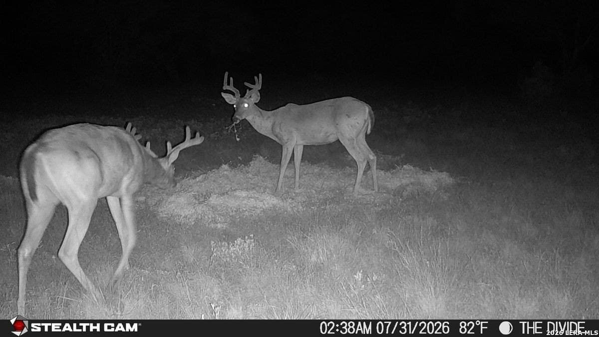 191 acres in Uvalde County - photo 9