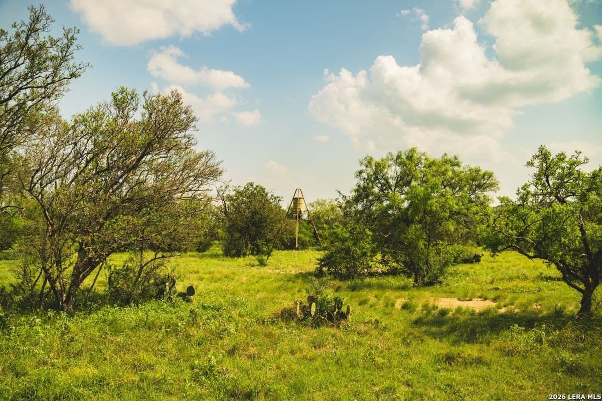 191 acres in Uvalde County - photo 29