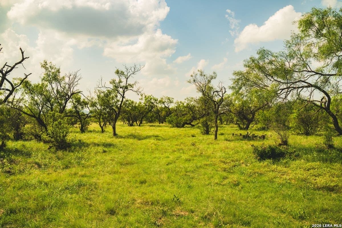 191 acres in Uvalde County - photo 28