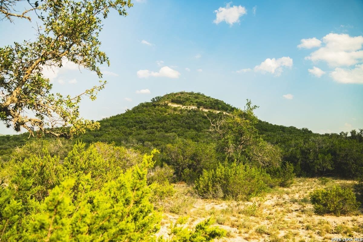 191 acres in Uvalde County - photo 22