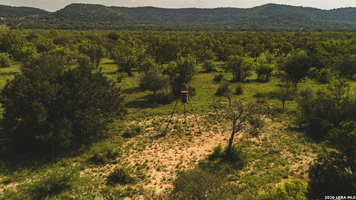 191 acres in Uvalde County - photo 7