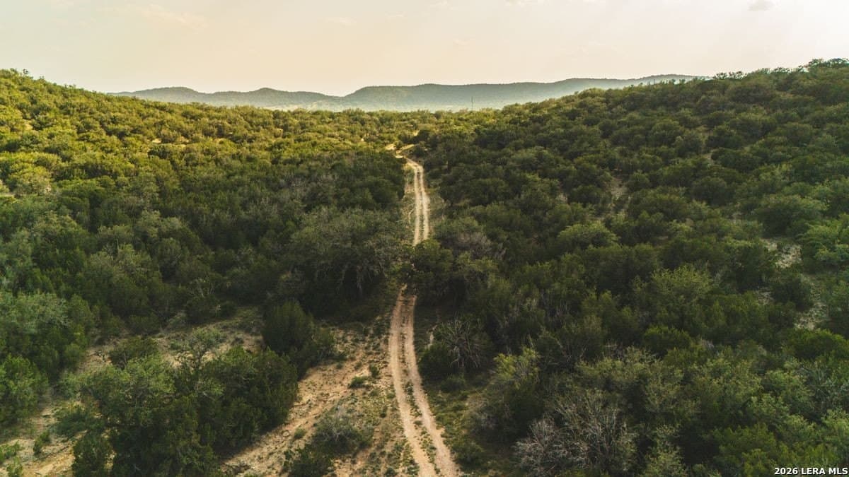 191 acres in Uvalde County - photo 2